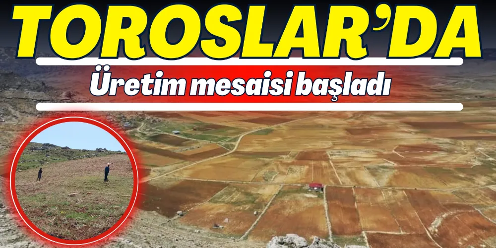 TOROSLAR’DA ÜRETİM MESAİSİ BAŞLADI