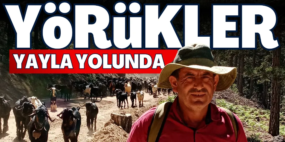 YAYLAYA GÖÇLER BAŞLADI