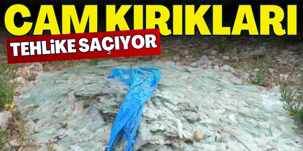 CAM KIRIKLARI DOĞAYI TEHDİT EDİYOR