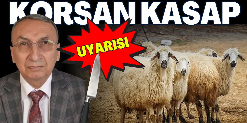 KORSAN KASAPLARI TERCİH ETMEYİN!