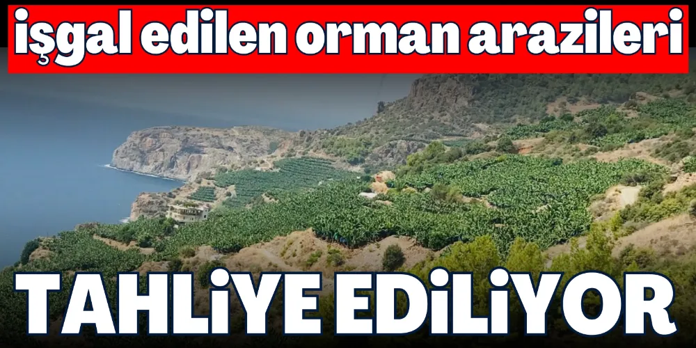 İŞGAL EDİLEN ORMAN ARAZİLERİ TAHLİYE EDİLİYOR