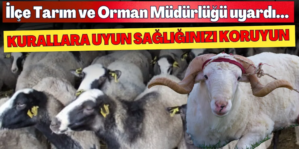 KURBANDA KURALLARA UYUN SAĞLIĞINIZI KORUYUN