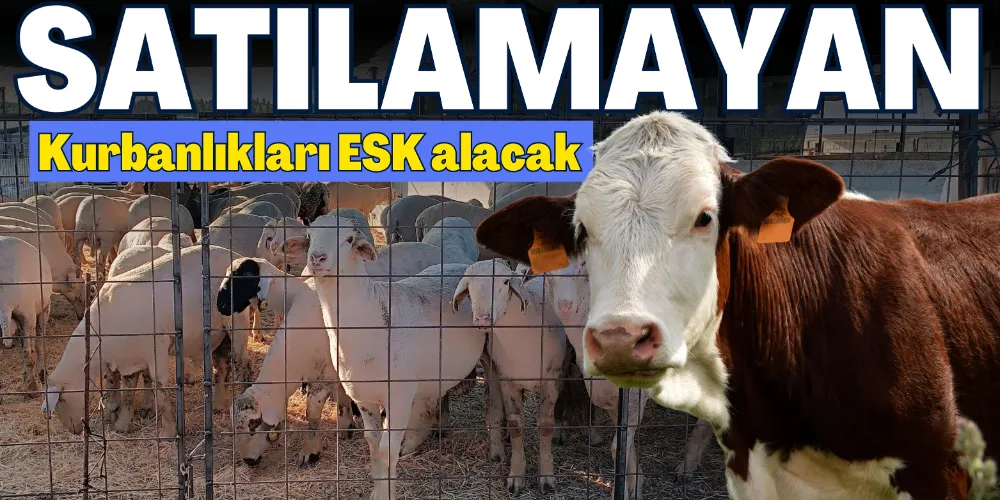 SATILAMAYAN KURBANLIKLARI ESK ALACAK