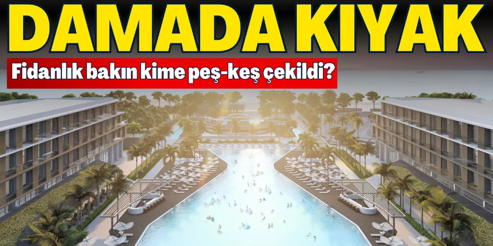 DAMADA “FİDANLIK” KIYAĞI