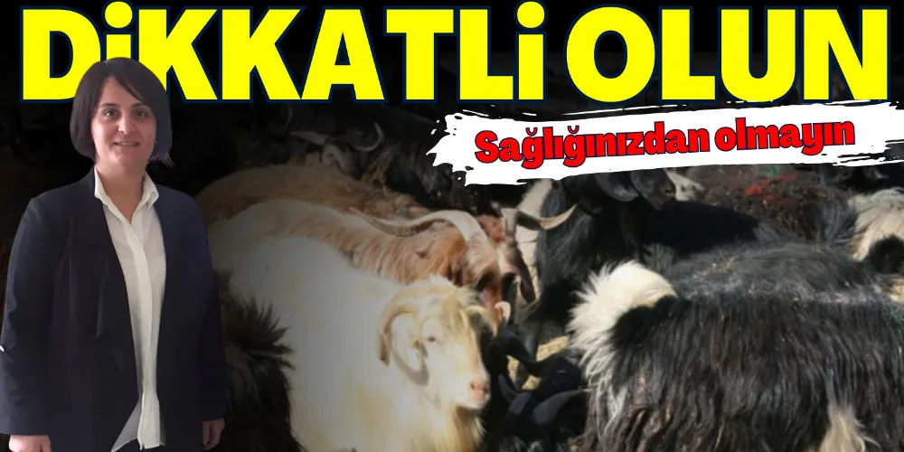 HASTALIKLARA DAVETİYE ÇIKARMAYIN