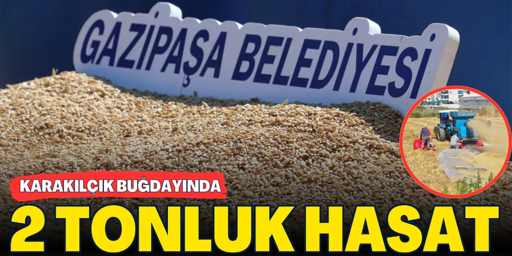 KARAKILÇIK BUĞDAYINDA 2 TONLUK HASAT