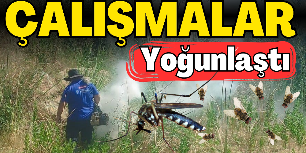 ÇALIŞMALAR YOĞUNLAŞTI 