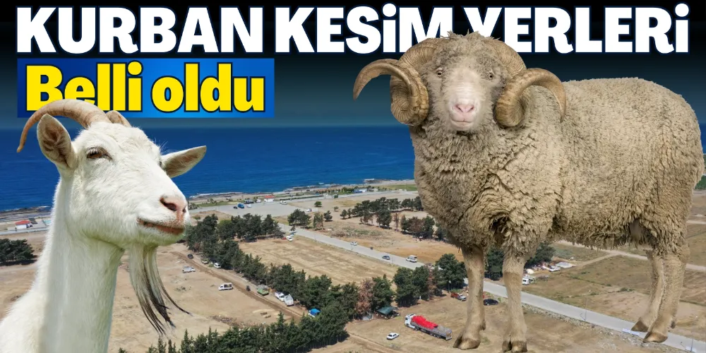 KURBAN KESİM YERLERİ BELLİ OLDU