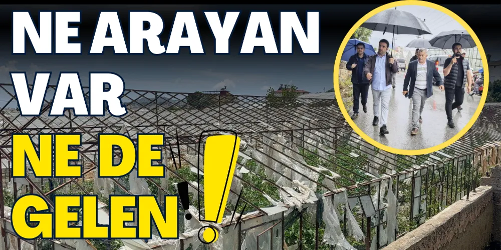 NE ARAYAN VAR NE GELEN
