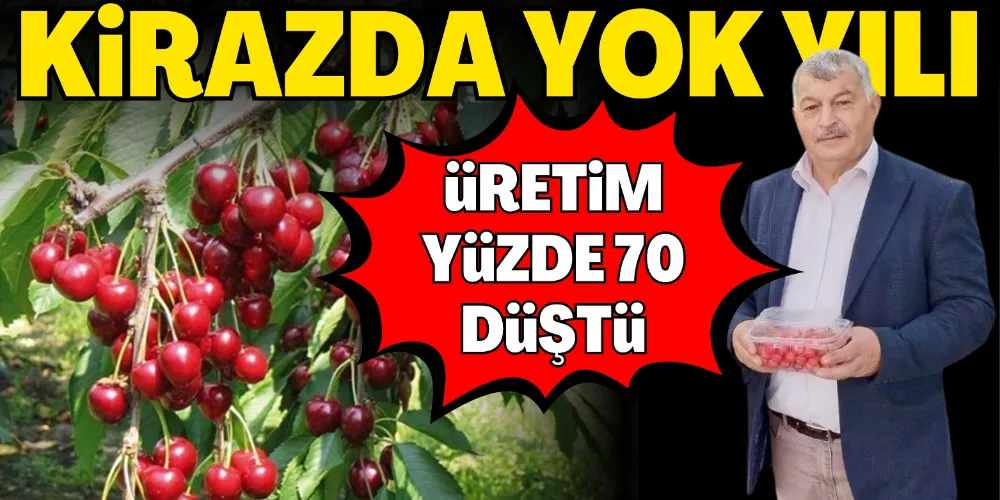 KİRAZDA YOK YILI: ÜRETİM YÜZDE 70 DÜŞTÜ
