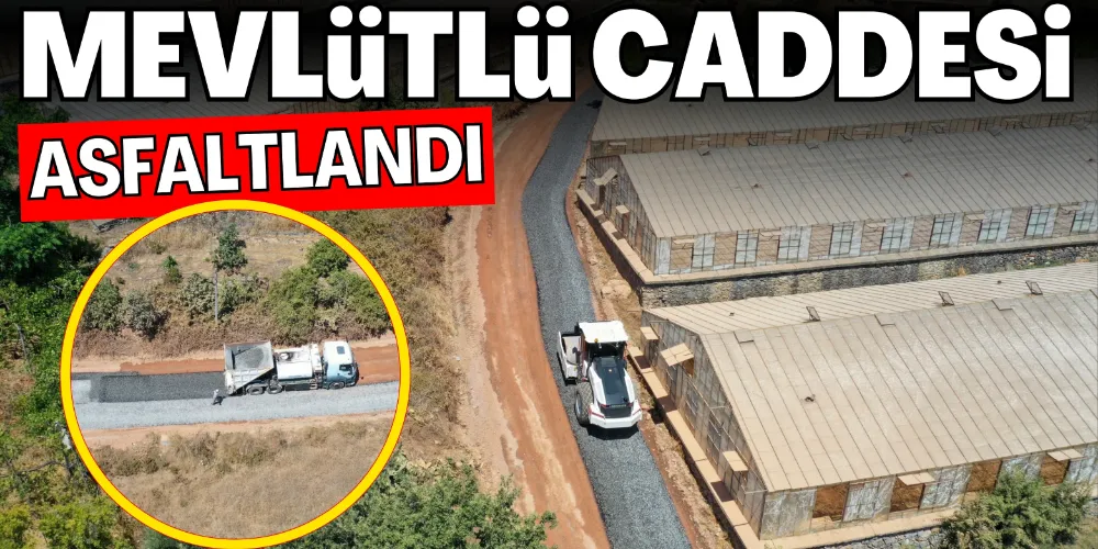 MEVLÜTLÜ CADDESİ ASFALTLANDI