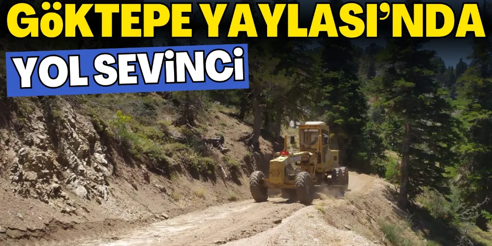 GÖKTEPE YAYLASI’NDA YOL SEVİNCİ