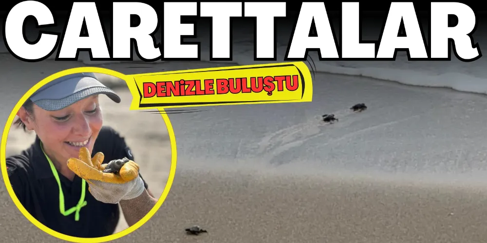 CARETTALAR DENİZLE BULUŞUYOR