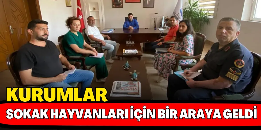 KURUMLAR SOKAK HAYVANLARI İÇİN BİR ARAYA GELDİ