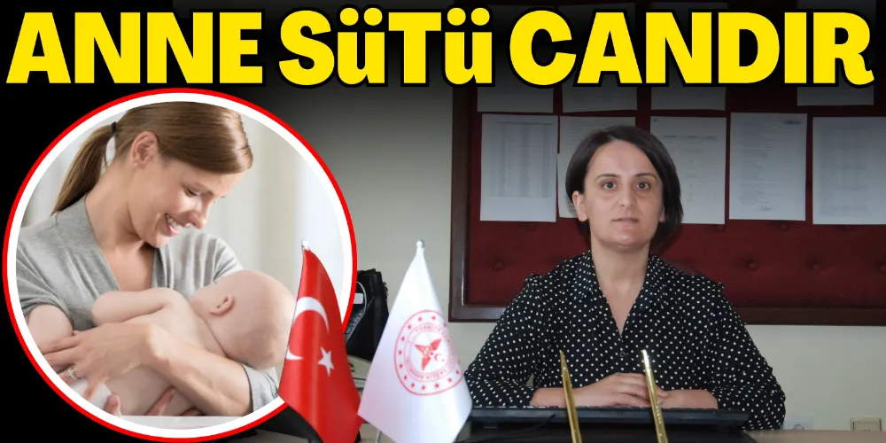 ÇELİK: ANNE SÜTÜ YAŞAMDIR