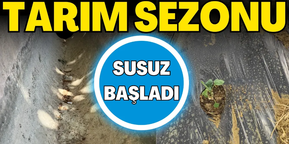 SEZON SUSUZ BAŞLADI