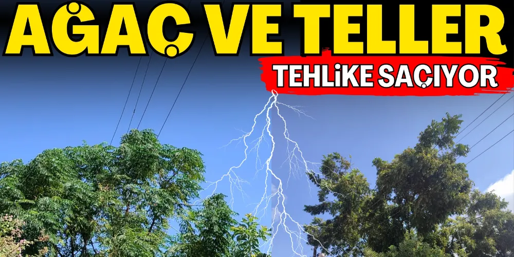 AĞAÇ VE TELLER TEHLİKE SAÇIYOR