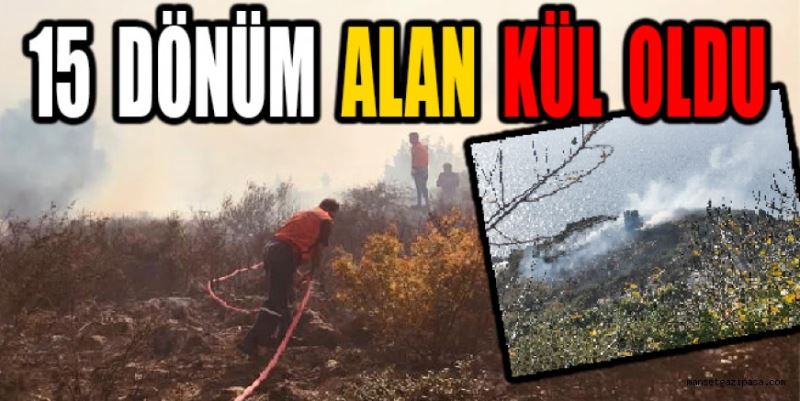 15 DÖNÜM ALAN KÜL OLDU