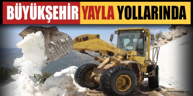 BÜYÜKŞEHİR YAYLA YOLLARINDA