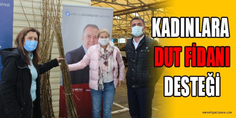 GAZİPAŞALI KADIN GİRİŞİMCİLERE DUT FİDANI DESTEĞİ