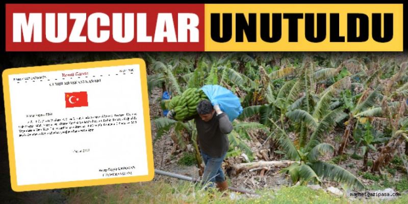 MUZCULAR UNUTULDU