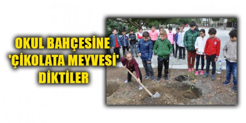 OKUL BAHÇESİNE 