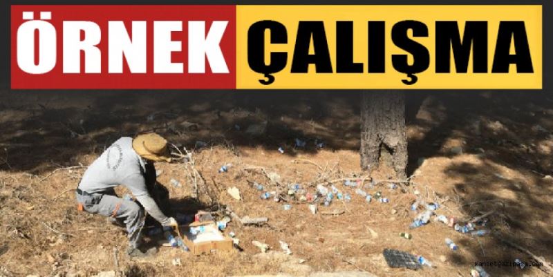 ÖRNEK ÇALIŞMA