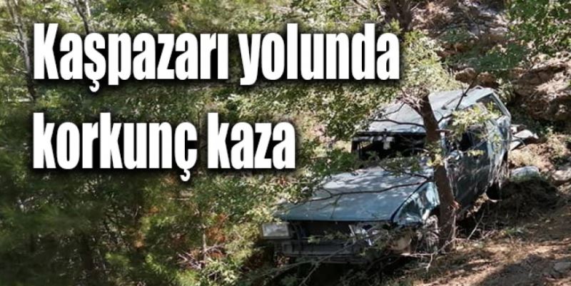 VİRAJI ALAMADI UÇURUMA UÇTU