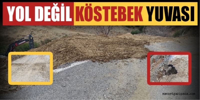 YOL DEĞİL KÖSTEBEK YUVASI