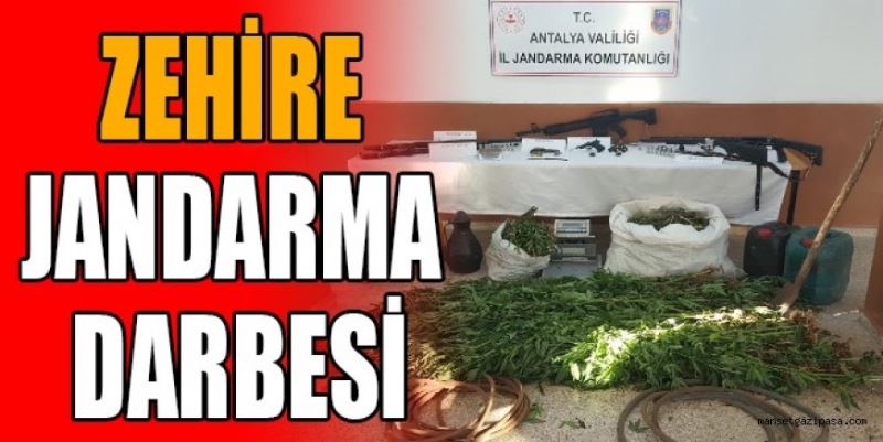 ZEHİRE JANDARMA DARBESİ